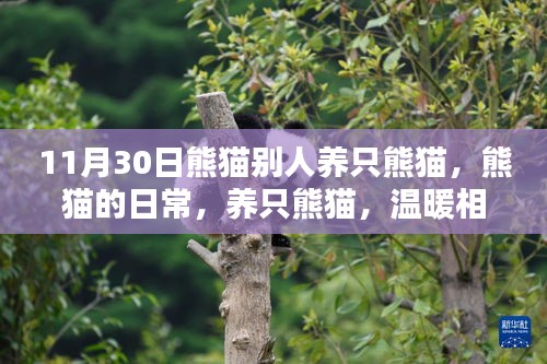 公司概况 第420页