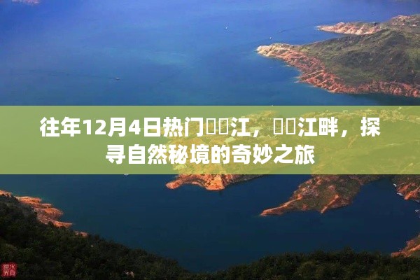 荆钗布裙 第3页