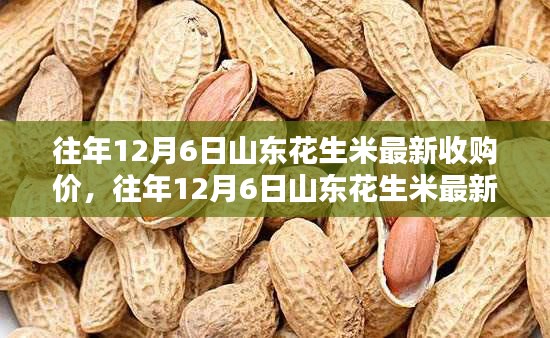 公司概况 第328页