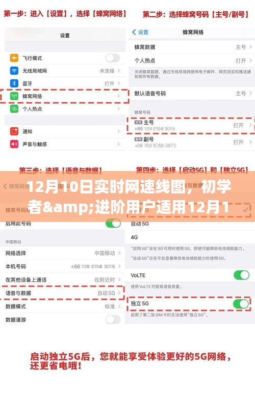 12月10日实时网速线图制作指南，适合初学者与进阶用户的详细步骤