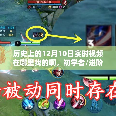 如何找到历史上的12月10日实时视频？初学者与进阶用户的详细步骤指南