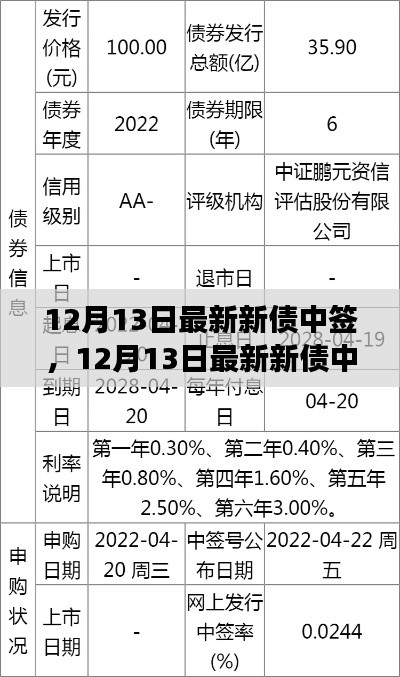 12月13日新债中签深度解读，市场机遇与挑战一览