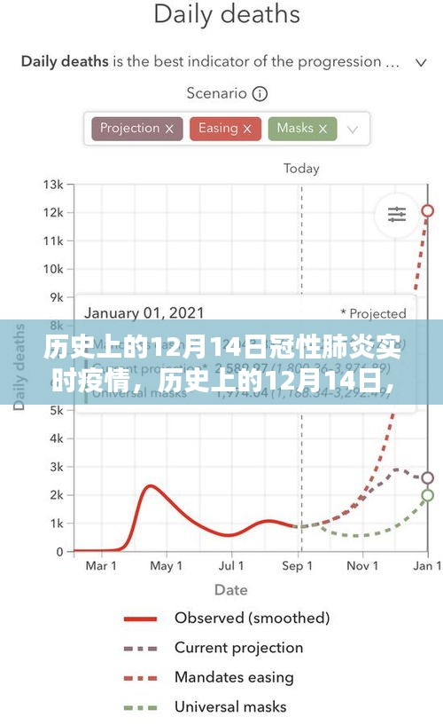 历史上的12月14日冠性肺炎实时疫情深度解析与要点详解