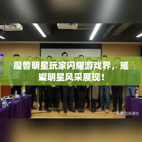 魔兽明星玩家闪耀游戏界，璀璨明星风采展现！