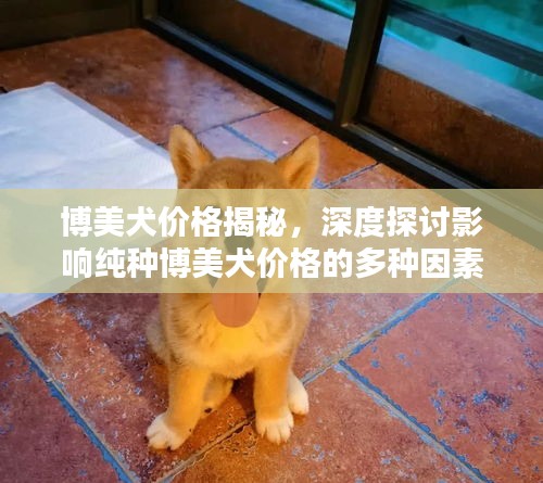 焚膏继晷 第2页