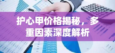 护心甲价格揭秘，多重因素深度解析