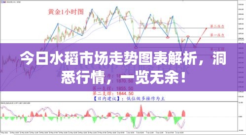 米念PARK仓储物流园 第16页