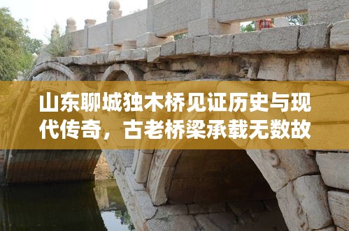 仓储物流园 第13页