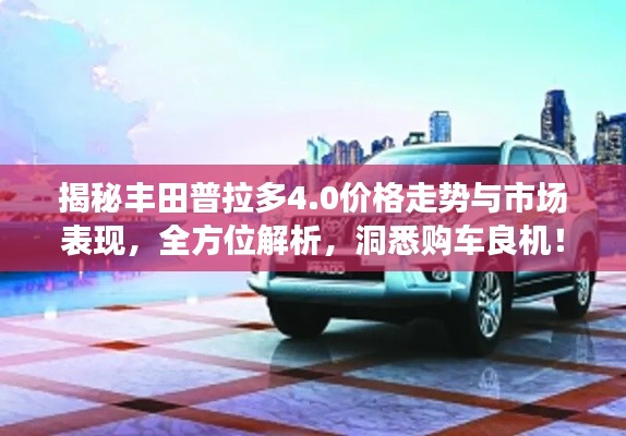 公司概况 第10页
