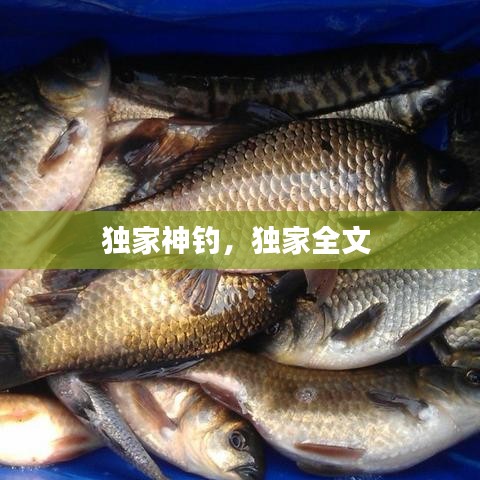 成功案例 第9页