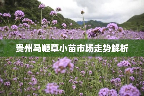 仓储物流园 第7页
