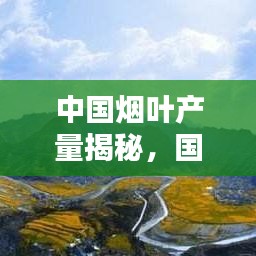 公司概况 第9页