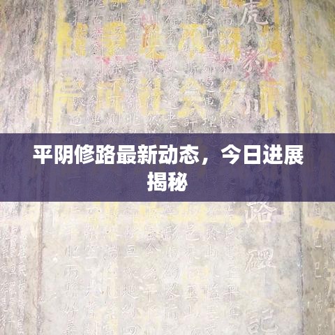 平阴修路最新动态，今日进展揭秘